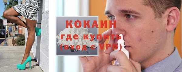 гашик Пересвет