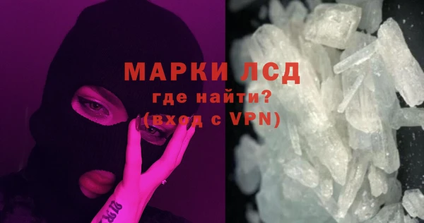 гашик Пересвет