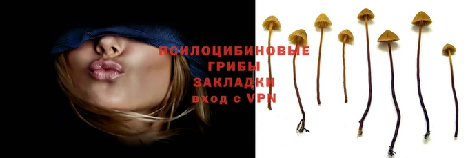дживик Осинники