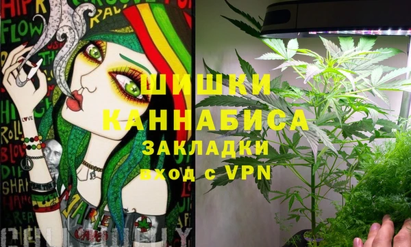гашик Пересвет
