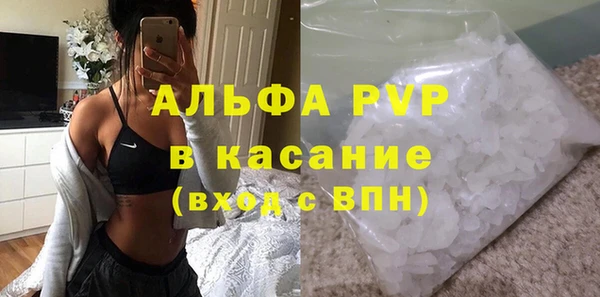 гашик Пересвет
