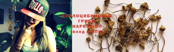 марки lsd Осташков