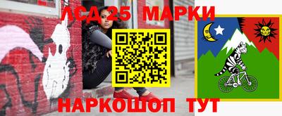 гидропоника Камышлов
