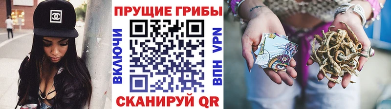 Псилоцибиновые грибы мицелий  Азов 