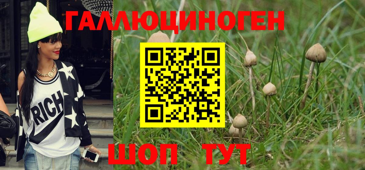 Азов  Псилоцибиновые грибы прущие грибы  Вход с VPN 