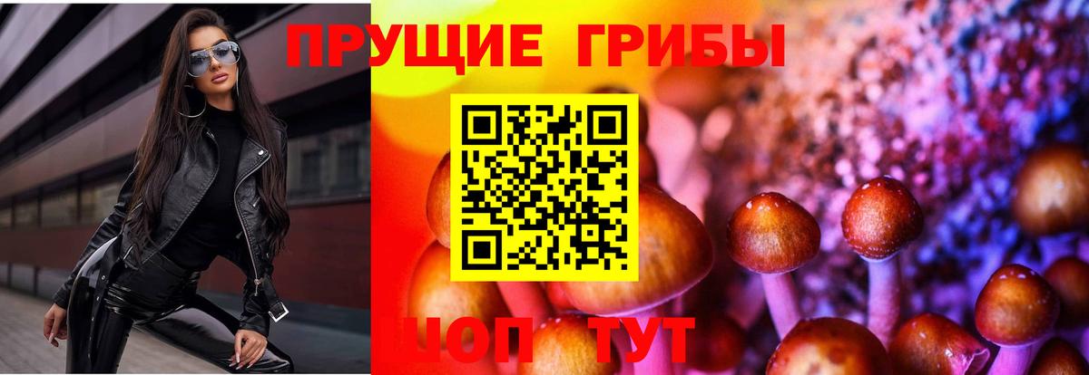 Псилоцибиновые грибы Psilocybe Азов