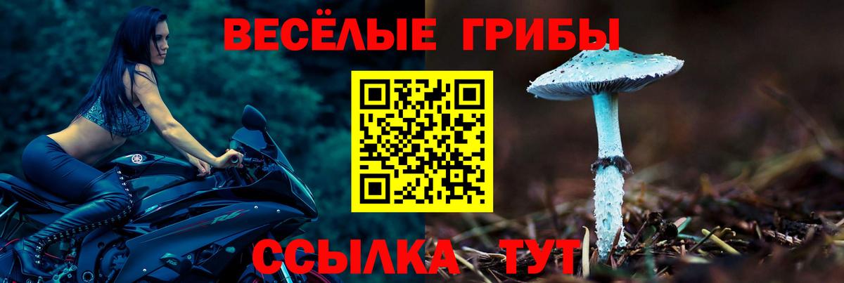 купить наркотики цена  Азов  Псилоцибиновые грибы Magic Shrooms 